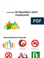 Comite de Seguridad y Salud Ocupacional