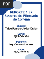 Informe Corvina 