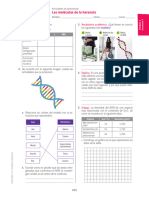 Las Moleculas de La Herencia