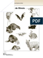 HTTPSDNR Illinois Govcontentdamsoienwebdnrpublicationsdocuments00000704 PDF