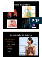 Sistema Respiratório 2021