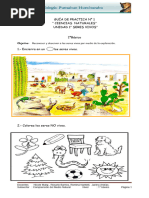 Bio1buni1n1hue Practica