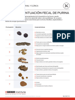 Purina Fecal Scoring Chart Updated Jan 2023 Spanish