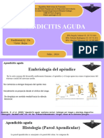 Apendicitis Aguda-2-1