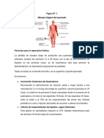 Manejo Integral Del Quemado