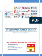 Risk Assessment (BP Deepwater Horizon Disaster)