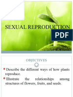 Module 7 Sexual Reproduction