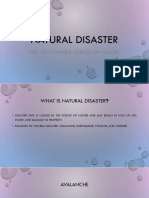 Natural Disaster