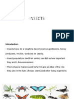 Insectss