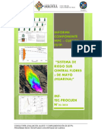 Informe MPC-CUENCA - Riego Flores (Huarina)