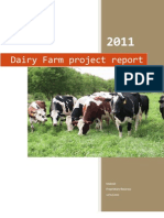 Dairy Farm Project Report