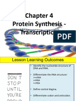 4.9 Cell Division & Protein Synthesis