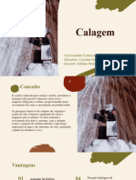 Calagem - Manejo1