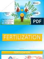 Fertilization Process in Human (Internal Fertilization)