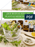 Plantas Medicinales