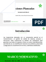 INSPECCIONES PLANEADAS - Ferreteria