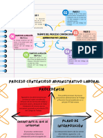 Proceso Contencioso Administrativo Laboral