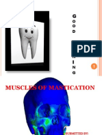 Muscles of Mastication