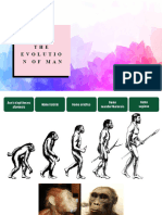 Evolution of Human