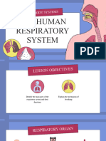 Identify The Main Parts of The Respiratory System and Their Functions