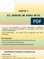 Soil Organisms