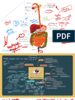 Digestion + Respiration