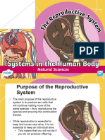 Reproduction in Humans