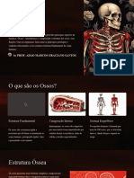 Estrutura Ossea