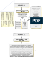 Gráfico Mapa Conceptual o Mental Esquema Proyecto Sencillo Scribble Amarillo y Negro PDF