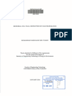 Electroporation Cell Wall Distruption