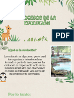 Procesos de Evolucion