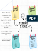 Mapa Conceptual Determinantes Sociales