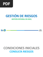 Proceso Gestión de Riesgos