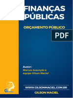 Noções de Orçamento Público