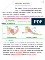 Système Musculaire-2