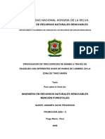 Propagación de Tres Especies de Bambú A Través de Esquejes Con Diferentes Dosis de Humus de Lombriz, en La Zona de Tingo María