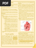 Tec. Muscular - Resumo Tainara