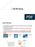 Cell Division