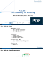 Molecular Sieve Dehydration Workshop