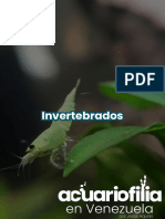 Catalogo Invertebrados - Acuariofilia en Venezuela