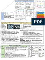 Anatomia y Fisiología Oido Medio