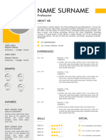 Sample Carrie Resume