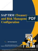 SAP TRM (Treasury and Risk Management) Configuration