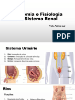 Anatomia e Fisiologia Do Sistema Renal 2017.2