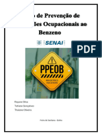 Ppeob PDF