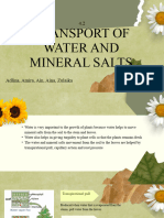 4.2 Transport of Water and Mineral Salts