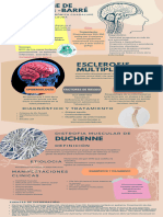 Infografia Sistema Nervioso Anatomico Azul Beige