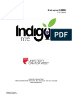 Indigo Report