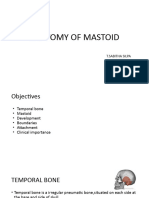 Ent Mastoid