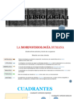 Modulo 2. Morfofisiologia